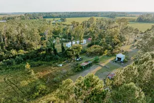 279 W W H Smith Rd, Denton, GA 31532 - Photo 6