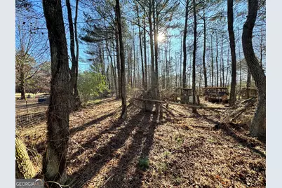 13550 County Road 8, Piedmont, AL 36272 - Photo 42