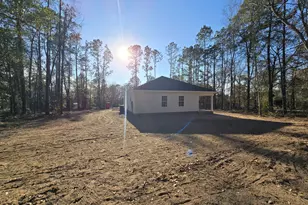 26466 Turner Rd, Metter, GA 30439 - Photo 36