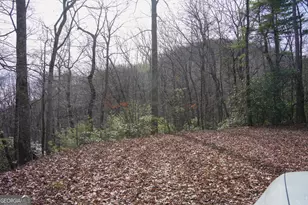 0 High Holly, Tiger, GA 30576 - Photo 1