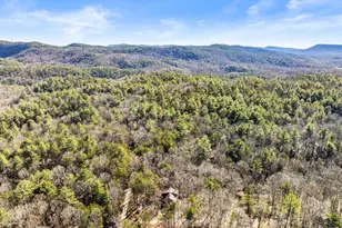 17 Deer Track Rd, Sautee Nacoochee, GA 30571 - Photo 46