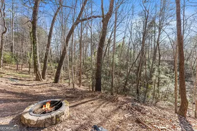 17 Deer Track Road, Sautee Nacoochee, GA 30571 - Photo 44