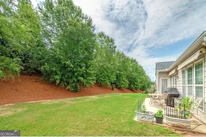 230 Begonia Court, Griffin, GA 30223 - Photo 4