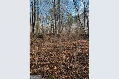 00 Rocky Hollow Rd, Summerville, GA 30747 - Photo 10