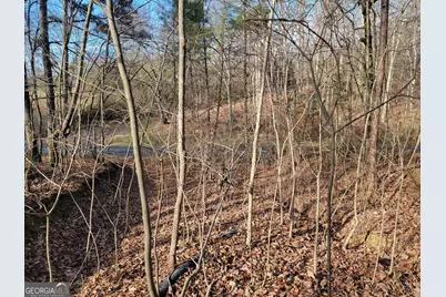 00 Rocky Hollow Rd, Summerville, GA 30747 - Photo 8