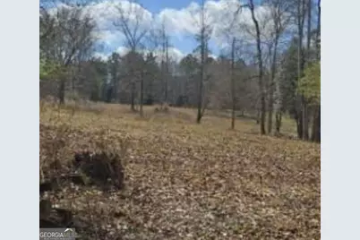 486 Walthall Road, Jackson, GA 30233 - Photo 6