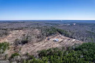 1351 Parker Hill Church Road NE, Toomsboro, GA 31090 - Photo 10