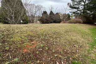 500 Tulip Ln, McDonough, GA 30252 - Photo 36