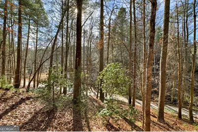 70 Riverside Lane, Blue Ridge, GA 30513 - Photo 48