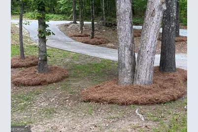 4470 SW East Fairview Drive, Stockbridge, GA 30281 - Photo 6