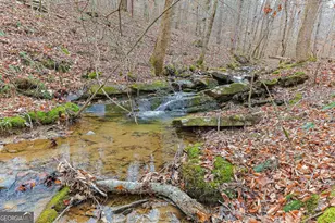 30 Chancel Cir, Ellijay, GA 30540 - Photo 18