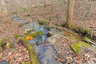 30 Chancel Cir, Ellijay, GA 30540 - Photo 38