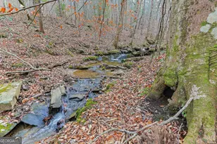 30 Chancel Cir, Ellijay, GA 30540 - Photo 32