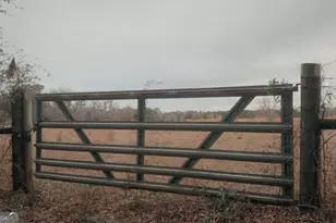 0 Sylvester Dr, Nahunta, GA 31553 - Photo 1