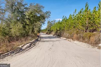 0 Sylvester Drive, Nahunta, GA 31553 - Photo 10