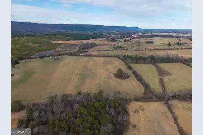 0 Old Hwy 337, Menlo, GA 30731 - Photo 18