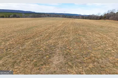 0 Old Hwy 337, Menlo, GA 30731 - Photo 6