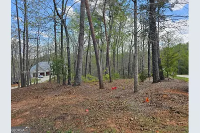 173 Edgewater Trail S, Toccoa, GA 30577 - Photo 6