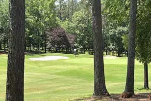 1040 Lake Dr, Greensboro, GA 30642 - Photo 6