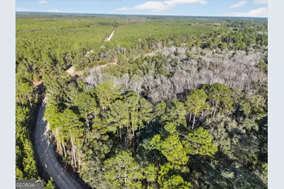 0 Beautiful Zion Cemetary Road, Pembroke, GA 31321 - Photo 8