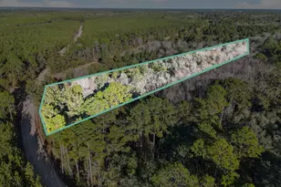 0 Beautiful Zion Cemetary Rd, Pembroke, GA 31321 - Photo 1