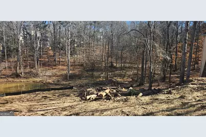 3728 Lake Vista, Douglasville, GA 30135 - Photo 2