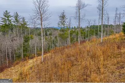 Tract A Hicks Ford Road, Ellijay, GA 30540 - Photo 4