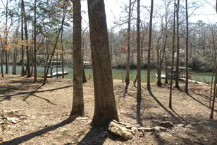 101 and 103 Joy Ln, Hartwell, GA 30643 - Photo 6