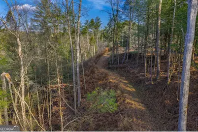 Tract B Hicks Ford Road, Ellijay, GA 30540 - Photo 4