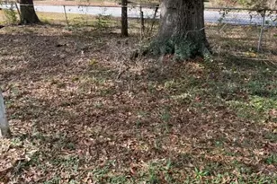 15 Jackson Rd, Covington, GA 30016 - Photo 14