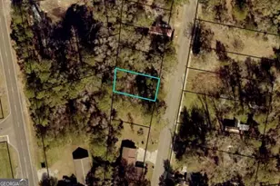0 Martin Luther King Jr, Kingsland, GA 31548 - Photo 1