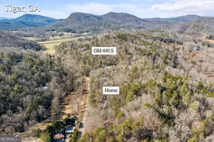 1131 Joe Davis Rd, Tiger, GA 30576 - Photo 44