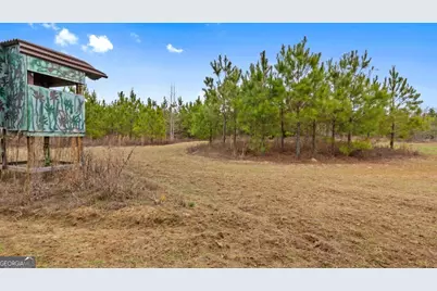 0 Mead Rd. & Cemetery Road, Ideal, GA 31041 - Photo 16