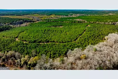 0 Mead Rd. & Cemetery Road, Ideal, GA 31041 - Photo 10