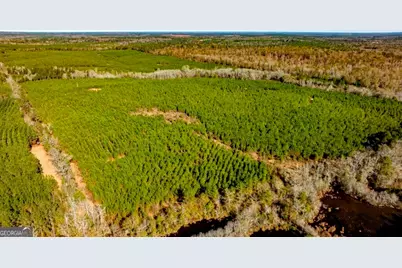 0 Mead Rd. & Cemetery Road, Ideal, GA 31041 - Photo 12