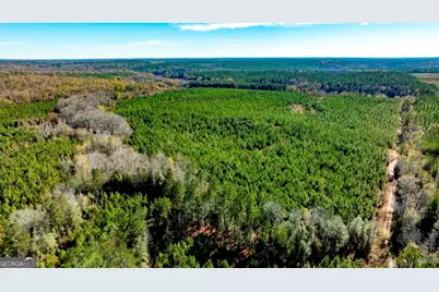 0 Mead Rd. & Cemetery Road, Ideal, GA 31041 - Photo 2