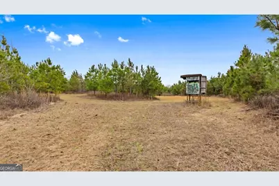 0 Mead Rd. & Cemetery Road, Ideal, GA 31041 - Photo 14