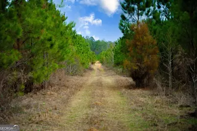 0 Mead Rd. & Cemetery Road, Ideal, GA 31041 - Photo 18
