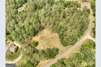 Lot 31 Eastside Drive, Ellijay, GA 30536 - Photo 12