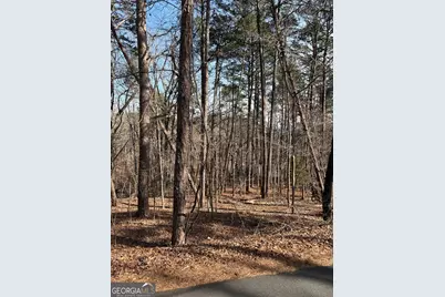 0 Radio Springs Road, Rome, GA 30165 - Photo 4