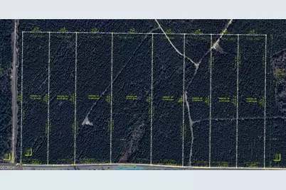 Lot 5 Whitfield Road, Elko, GA 31025 - Photo 4