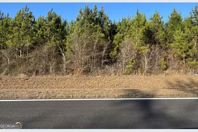 Lot 7 Whitfield Road, Elko, GA 31025 - Photo 1