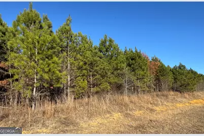 Lot 7 Whitfield Road, Elko, GA 31025 - Photo 4