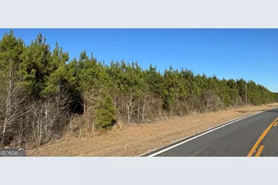Lot 1A Whitfield Road, Elko, GA 31025 - Photo 2
