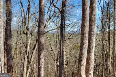 340 Chancel Circle, Ellijay, GA 30540 - Photo 34