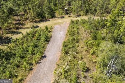 1603 D L Durrence Road, Reidsville, GA 30453 - Photo 12