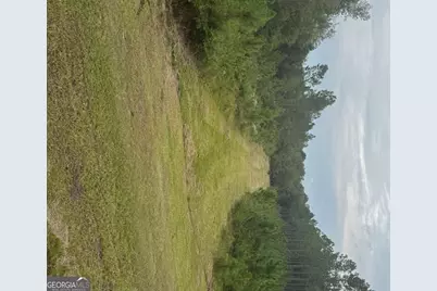 1603 D L Durrence Road, Reidsville, GA 30453 - Photo 26