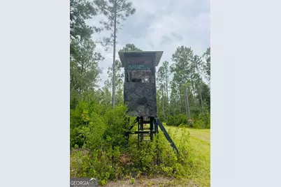 1603 D L Durrence Road, Reidsville, GA 30453 - Photo 24