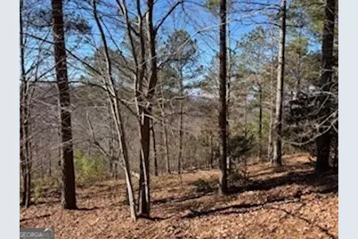 00 Mile High Ln, Blairsville, GA 30512 - Photo 2