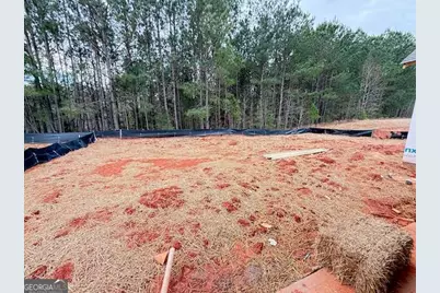 1111 Silverton Drive, Greensboro, GA 30642 - Photo 10